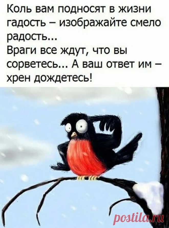 ТИХИЙ ОМУТ +18 – Google+