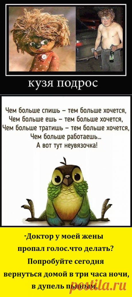 Юмор для всех: классные анекдоты и шуточки