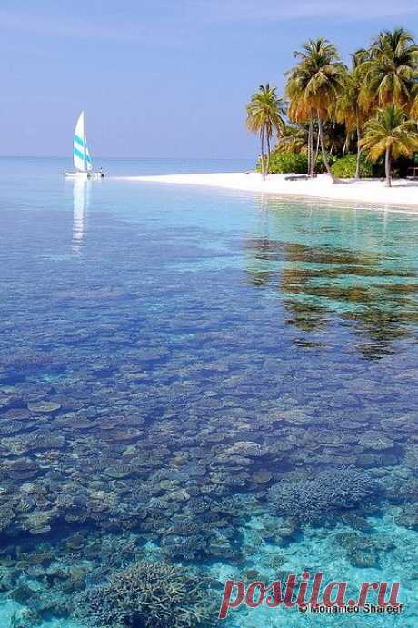sıtkı All Nature — Maldives
