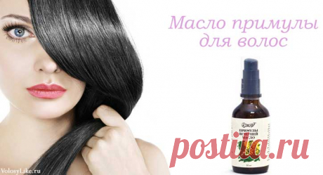 Масло примулы для волос: польза, маски и отзывы