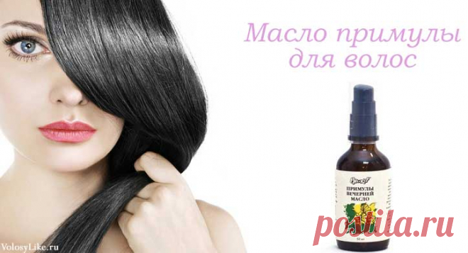 Масло примулы для волос: польза, маски и отзывы