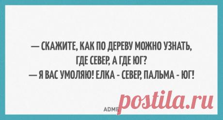 Как по дереву узнать, где север, а где юг?