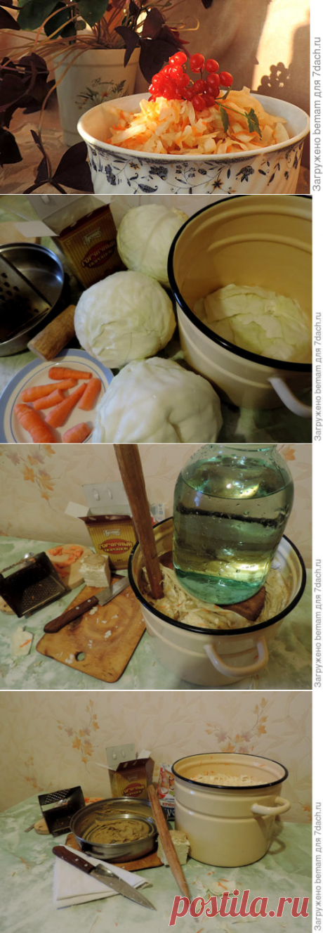 Как я готовлю хрустящую квашеную капусту