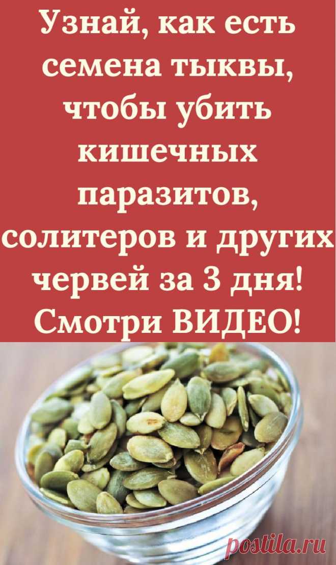 Узнай, как есть семена тыквы, чтобы убить кишечных паразитов, солитеров и других червей за 3 дня! Смотри ВИДЕО!