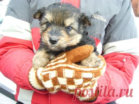 Достаточно места в рукавичке!