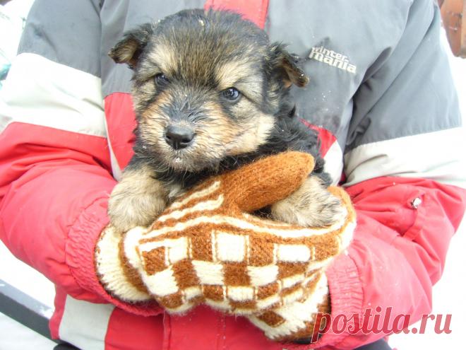 Достаточно места в рукавичке!