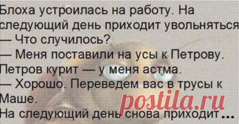 13 популярных и прикольных анекдотов! Очередная подборка веселых анекдотов.