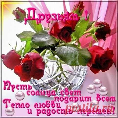 (5) Одноклассники