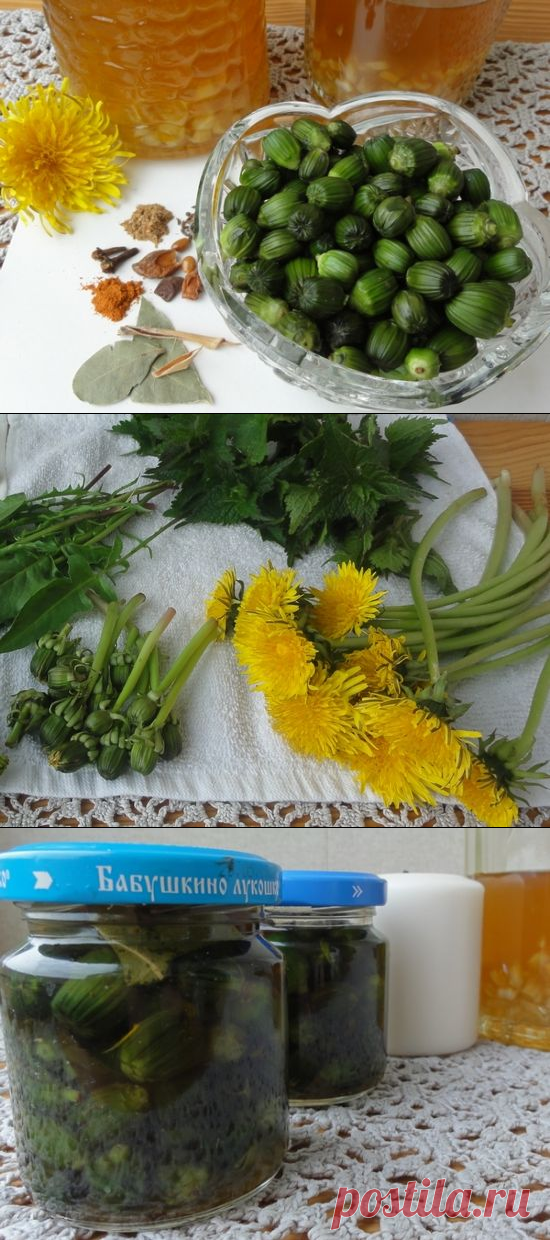 РУССКИЕ КАПЕРСЫ ИЗ... БУТОНОВ ОДУВАНЧИКА