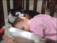 Мой Мир@Mail.Ru