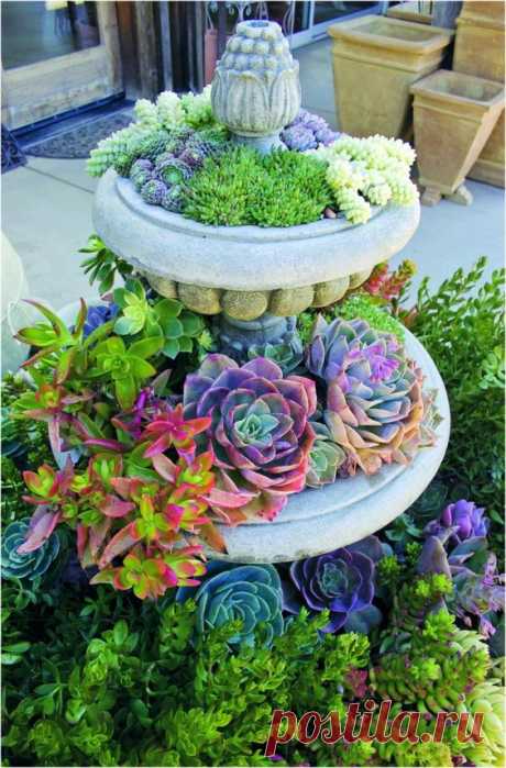(4) Pinterest