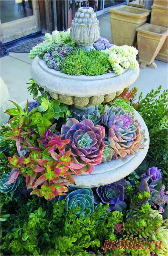 (4) Pinterest