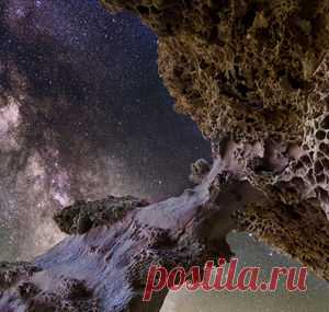 Фотохостинг — Страница 2 — National Geographic Россия