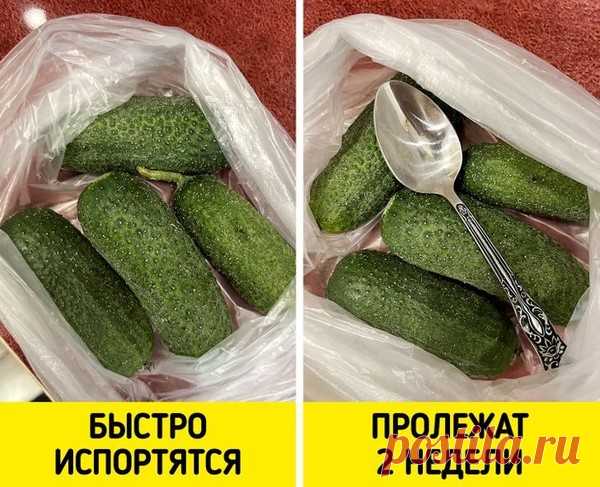 Обсуждения - Тепло людских сердец - Группы Мой Мир