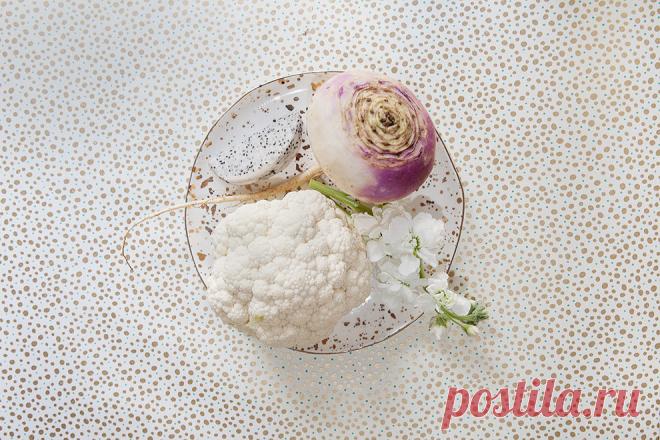 Как модные натюрморты Лючии Файнзильбер связаны с темой иммиграции | Радости жизни | Новости | VOGUE