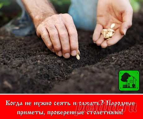 Многие люди считают народные приметы – пережитком старины. Но немало дачников, относятся к ним со всей серьезностью. Ведь приметы проверены десятилетиями, а то и столетиями. Сполна доказали свою пользу, при проведении разнообразных сельскохозяйственных работ.

В этой статье мы рассмотрим, особенности посева и посадки культур согласно народным приметам.

Картофель не следует высаживать по средам и субботам, а также во время Вербной недели. В противном случае клубни будут по...
