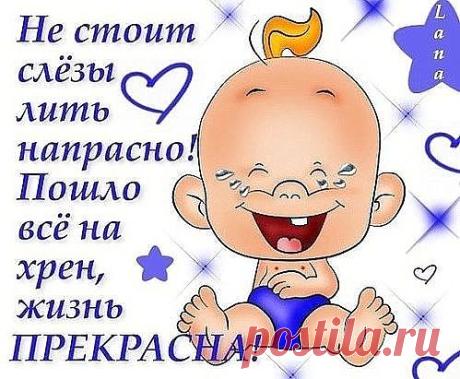 image (Изображение JPEG, 499 × 411 пикселов)