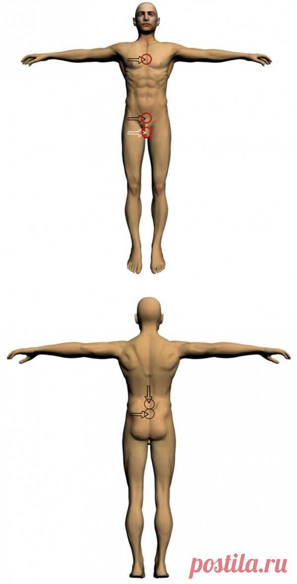 Лечение хронического простатита прибором Спинор Применение КВЧ-терапии обусловлено ее иммуномодулирующим, регенеративным действием, уменьшением эксудативно-воспалительных процессов, нормализацией расстройств в микроциркуляторном русле.