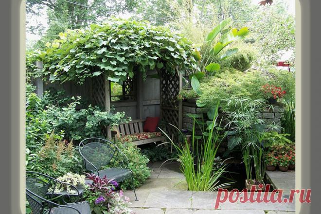 Зона отдыха на маленьком дачном участке – где ее разместить и как обустроить | Dream house | Дзен