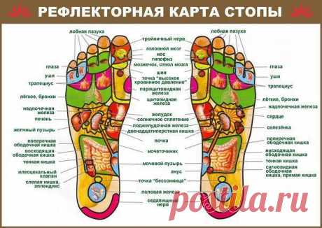 Мода и красота / Правильный массаж стоп