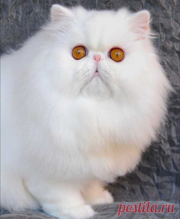 ღ