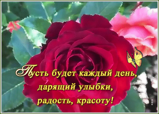 Картинка цветы и пожелания