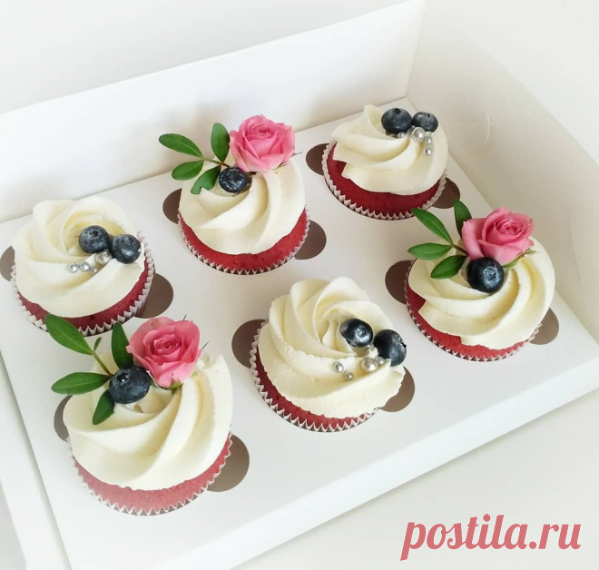 LBWn17Vf6q6QqM-y6V07pu1psPWR5SuzYroImhWGdWMIWwO_j9icBQ3POT19VfjxP7crcNOODIwEBR9O55d-rfPx.jpg (1080×1027)