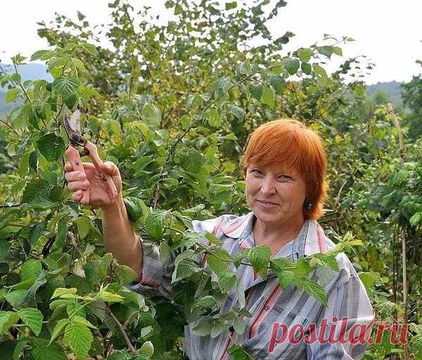 (55) Одноклассники