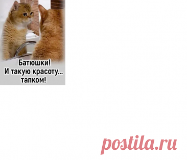 5654ecd0.png (905×774)