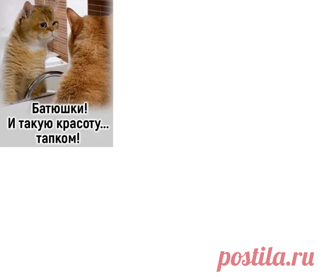 5654ecd0.png (905×774)