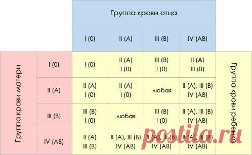 Здоровье в наших руках: "Группа крови на рукаве"