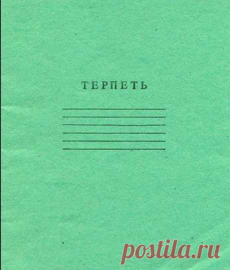 Светлана Володина