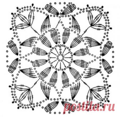 12494845_1045488228845392_1372107414065125508_n.jpg (960×936)