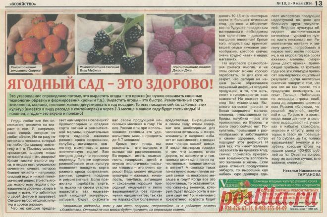 Ягодный сад - это здорово