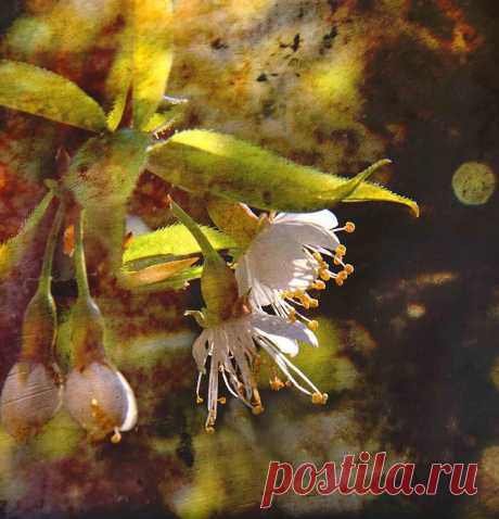 Dominic Moriarty Photography - Fine Art Photography, For Sale | Gallery