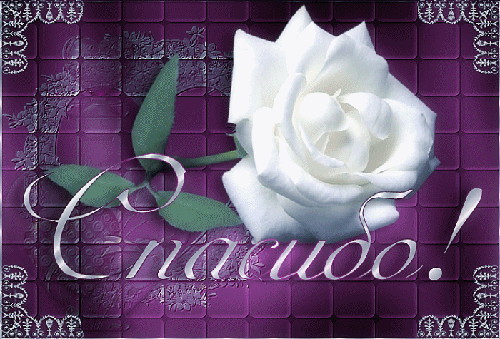 Азу по-татарск / Свежие рецепты