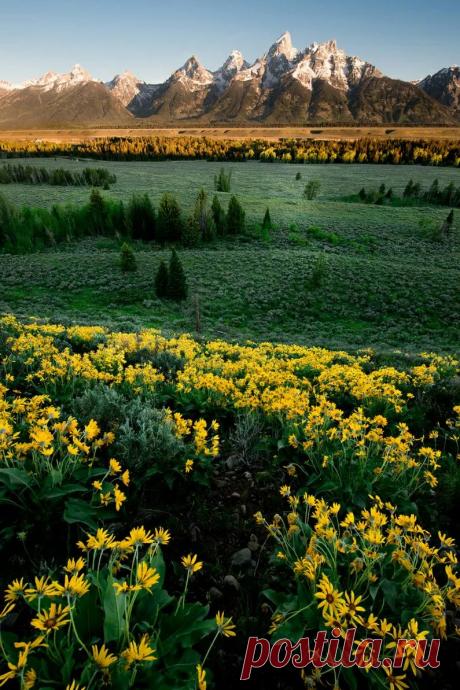 Beauty Nature - Google+