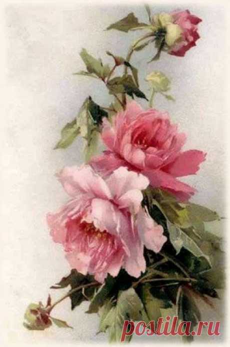 c5b9b545b4e4cbaef857a8e8b6229777.jpg (396×596)