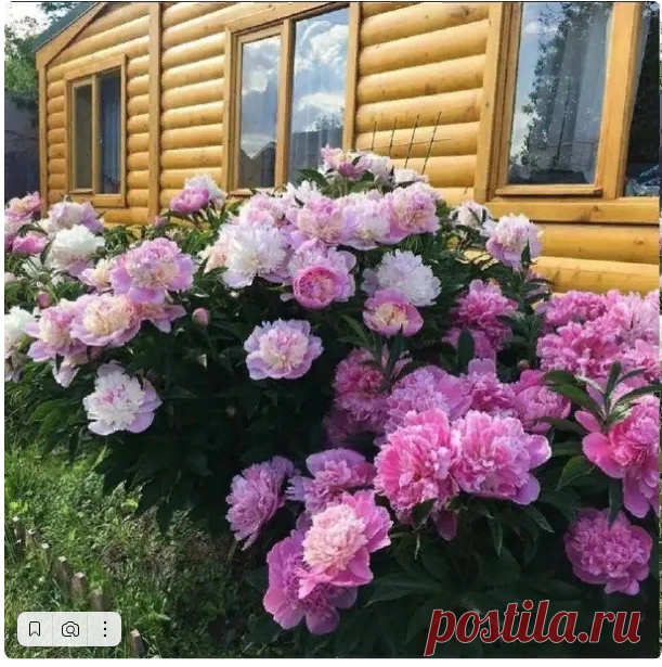 Новости