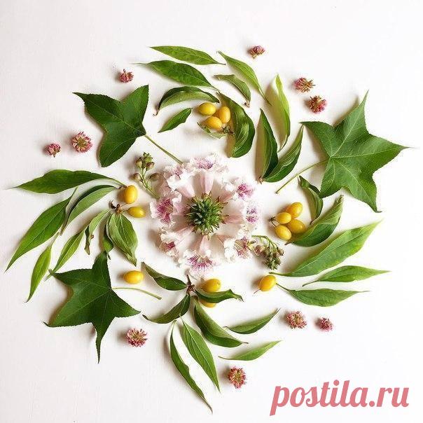 Цветочная красота от Bridget Collins / Солнышко