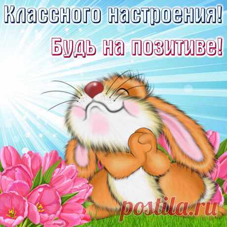 Доброе утро милые люди! 🌞🥰 Лёгкого рабочего дня! 🤗