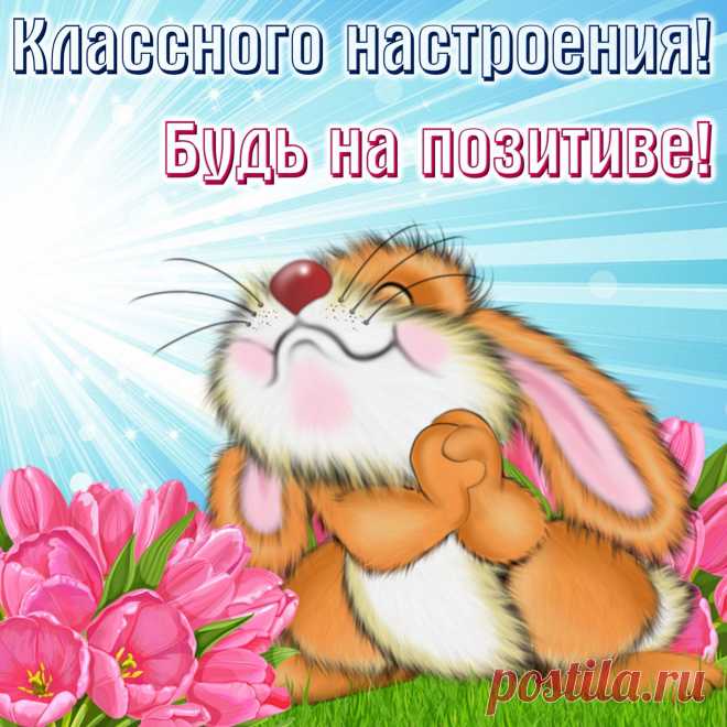Доброе утро милые люди! 🌞🥰 Лёгкого рабочего дня! 🤗