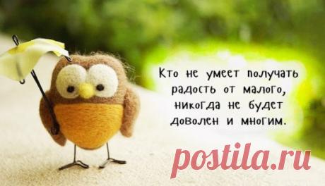 И в шутку и в серьез