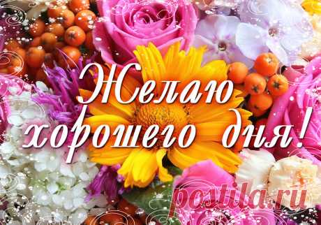 Открытки бесплатно | Минутта