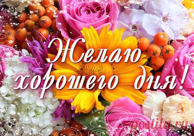 Открытки бесплатно | Минутта