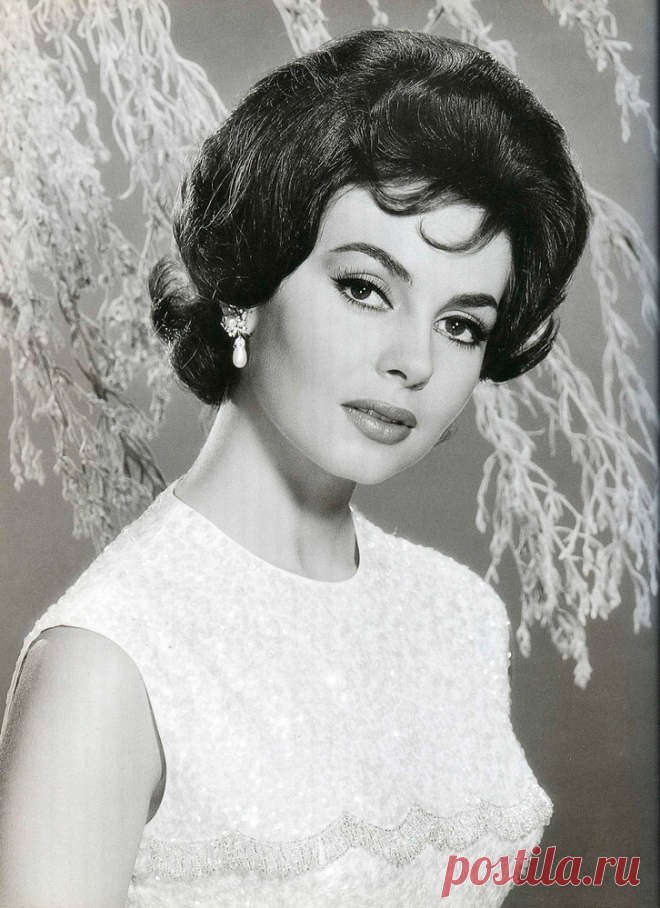 Невероятно красивая женщина, идеал женской красоты и обаяния, смотришь на нее, как на прекрасный цветок и не можешь насмотреться.

Мишель Мерсье по праву входит в десятку самых красивых женщин всех времен и народов. Сколько бы не было прекраснейших девушек в мире, таких как Мишель Мерсье больше не существует. Идеал красоты, несмотря на то, что вкусы меняются, но этот идеал остается на самом высочайшем пьедестале.