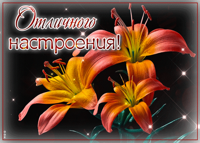 Колоритная гиф-открытка, самого отличного настроения