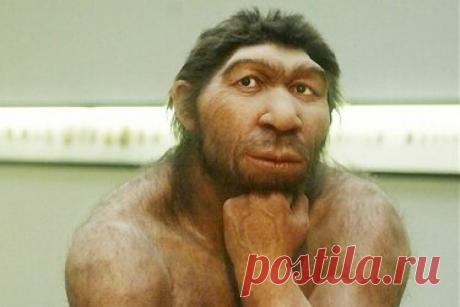 Обычный русский парень в Америке на весь мир показал преимущества отечественного образования В прошлом году ведущий американский канал NBC сделал опрос на улицах Нью-Йорка. Они часто проводят такие акции, чтобы узнать отношение граждан к той или иной проблеме, осведомленность по какому-либо вопросу. На тот раз 10-ти прохожим был задан такой вопрос: – Как бы вы поступили, если бы узнали, что в вашем окружении есть гомо сапиенс? Ответы в разных вариациях звучали так. 2 раза ...