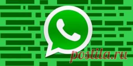 Как форматировать текст сообщений в WhatsApp - Лайфхакер