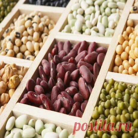 Знакомьтесь: семейство бобовых | Друг пенсионера
Бобовые на протяжении многих веков были основ­ной растительной пищей древнего человека. Это солидное семейство насчитывает около 12 тысяч различных культур, которые до сих пор служат людям.